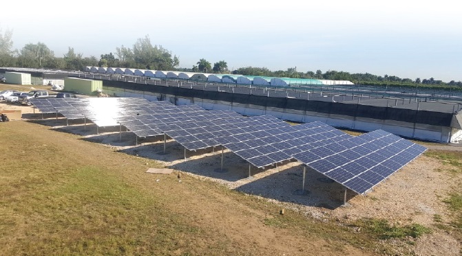 Tesla Charging Station in Orlando, Florida